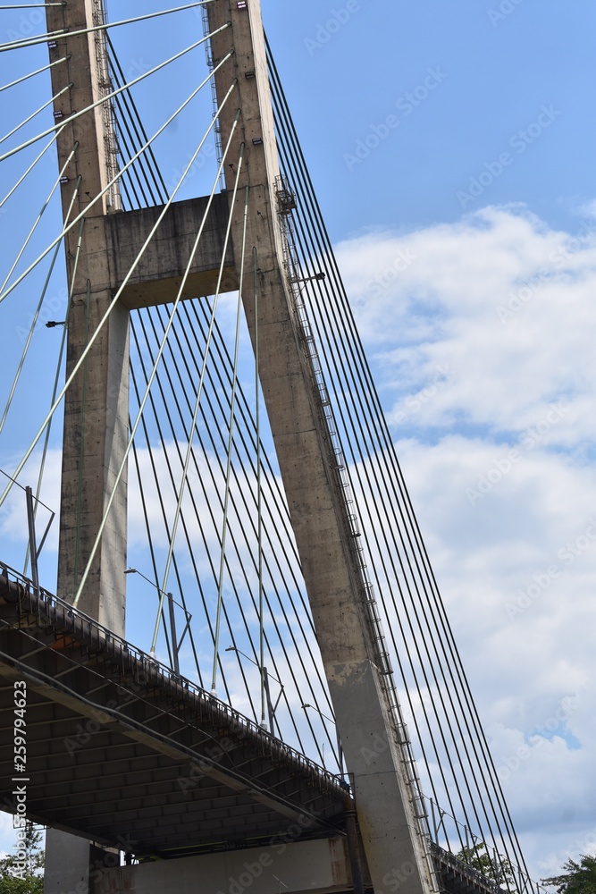 Obraz premium bridge over the river