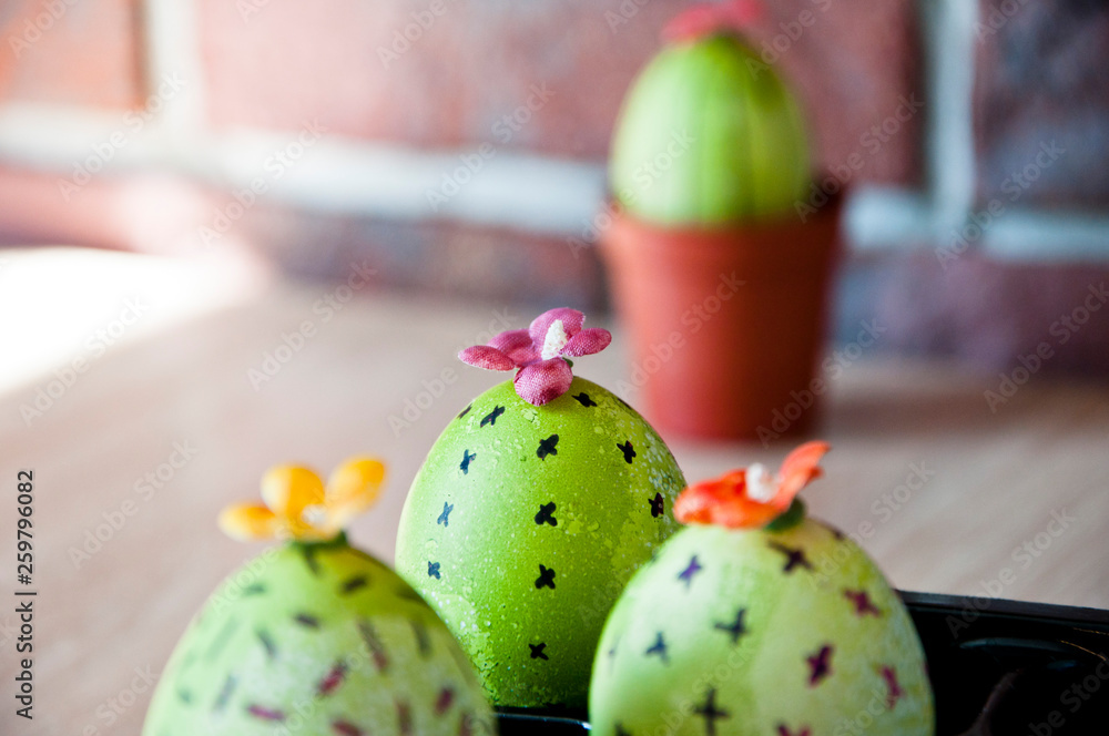 Easter egg. Green life. Flower shop. DIY and handmade. Painted egg. Spring seedlings. Greenhouse. Cactus blooming. Egg hunt. Cooking. Unusual idea. Happy easter. natural dye. Flowers arrangement