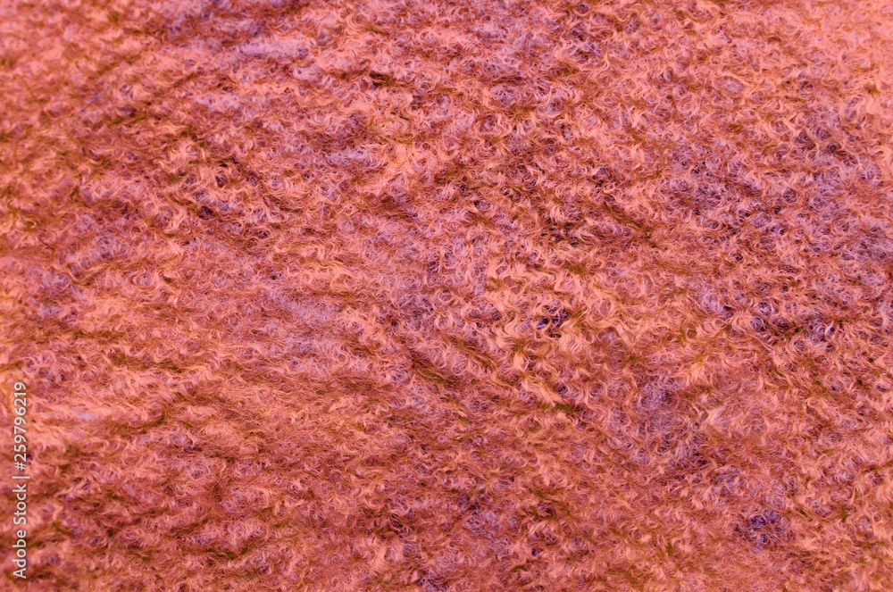 Fototapeta premium art color felt background texture, wool handmade textile