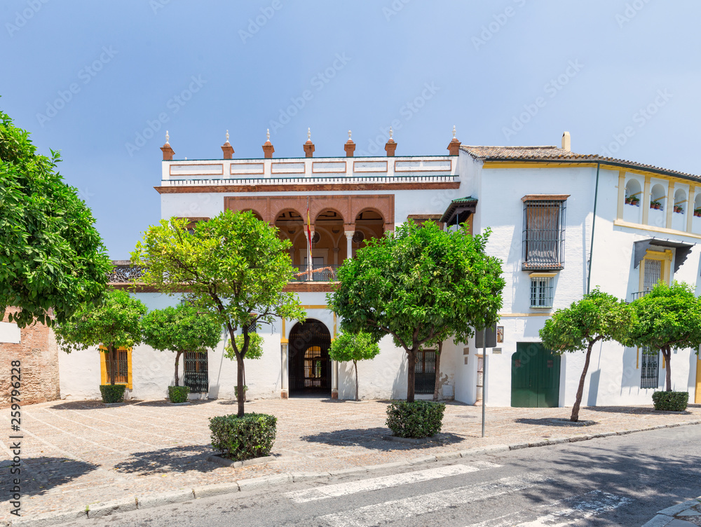 Obraz premium Seville, Spain - Architecture barrio Santa Cruz district