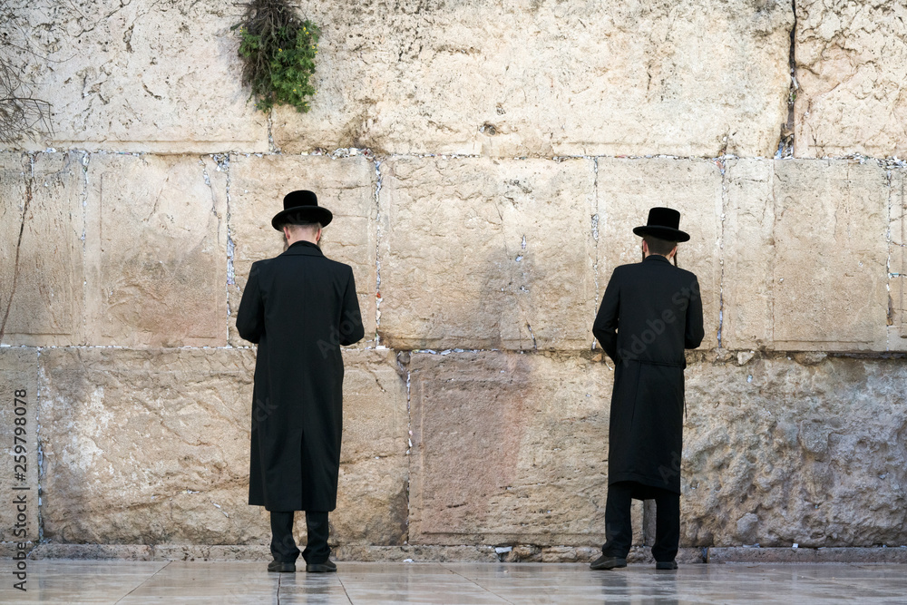 Orthodox hassidic religious jews dressed in black traditional outfit pray at the wailing wall