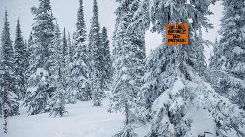 Wonderful view of coniferous forest between snowdrift and warning sign with ski area boundary words in winter in Canada photo
