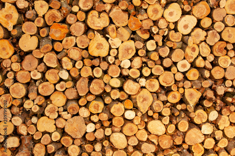 Wooden background. Firewood stack for the background. A lot of cutted logs. Stack of sawn logs. Natural wooden decor background. Pile of chopped fire wood prepared for winter. Wooden background. Firewood stack for the background. A lot of cutted logs. Stack of sawn logs. Natural wooden decor background. Pile of chopped fire wood prepared for winter.