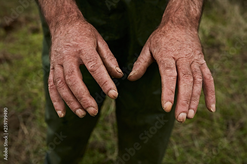 Crop hands of aged male worker  photo