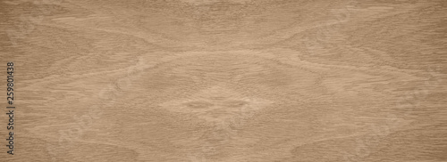 veneer wood texture. the oak veneer background.  