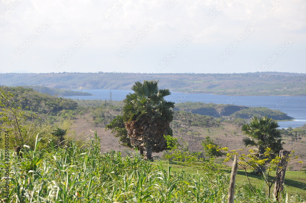 Obraz premium nature