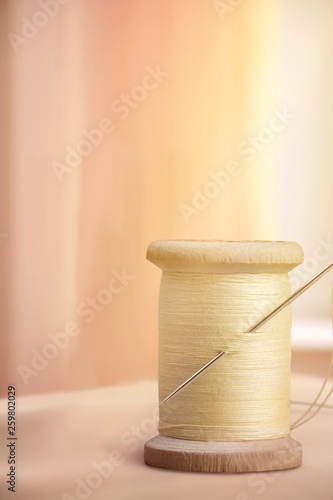 Spool of Thread and Needle