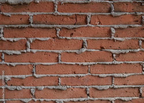 Brick Wall Background  photo