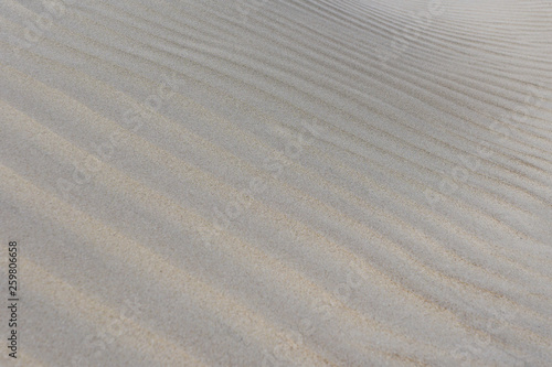 background of sand, wind formed relief, baltic sea shore