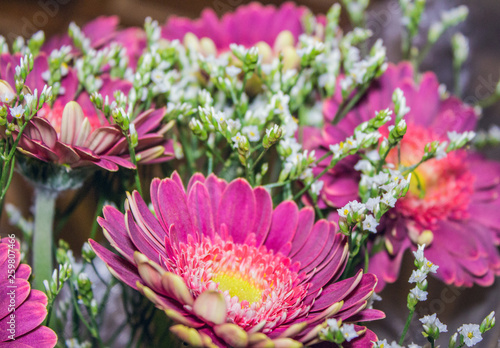 bouquet of purple flowers