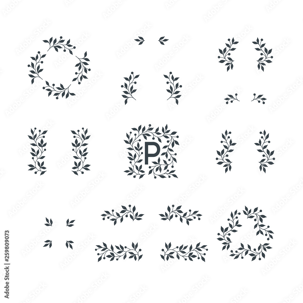 Set of hand drawn vector floral elements. 