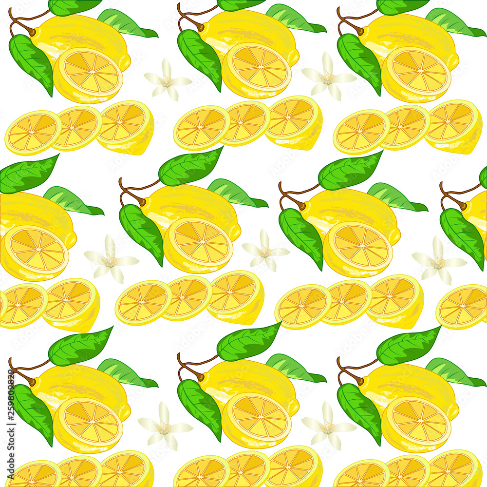 Lemon pattern with flowers and slices
