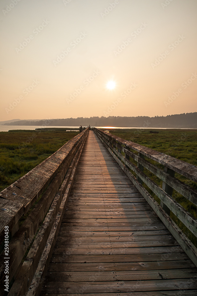 sunset at bird sanctuary wooden path