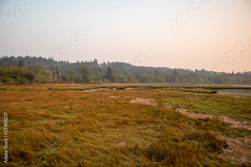 autumnal wetlands and grasslands  along the sound 