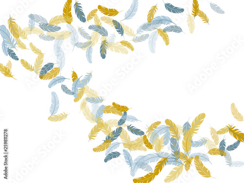 Flying feather elements airy vector design.