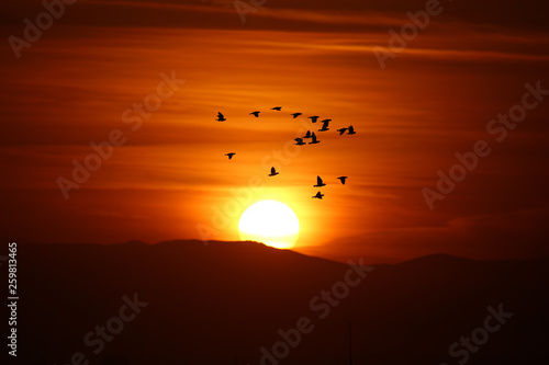 Sunset for damascus and birds  the scene  from the siege in the eastern ghouta   damascus - syria