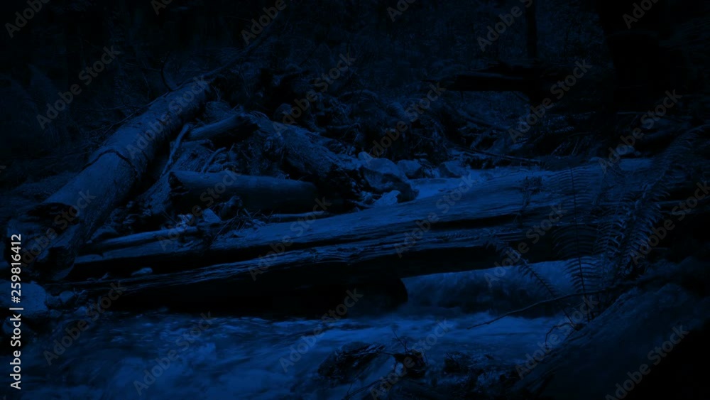 Wild River With Fallen Log At Night