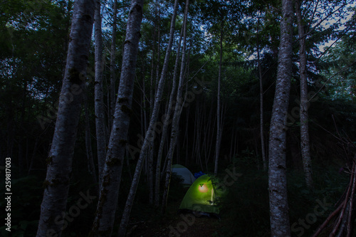 Camping site in the forest