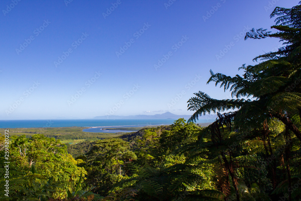 view over Daintree National Park during sunset, Cape Tribulation, Australia
