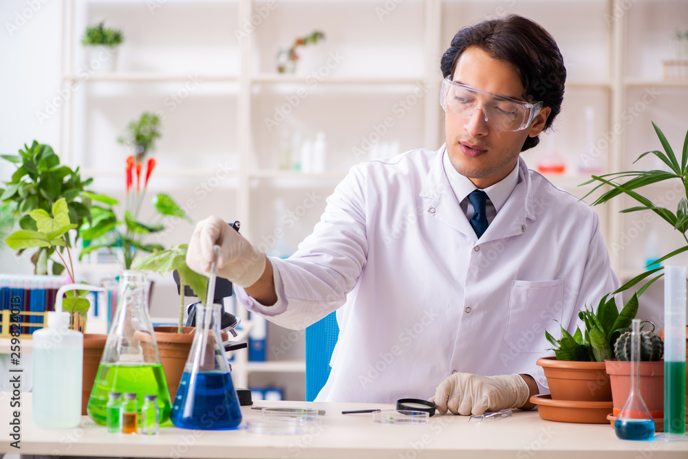 Biotechnology chemist working in lab Biotechnology chemist working in lab