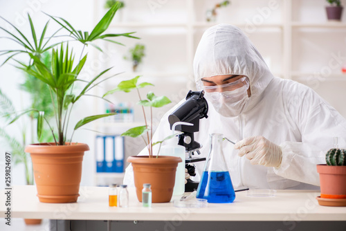 Biotechnology chemist working in lab