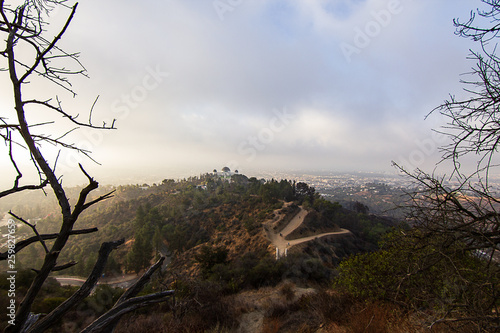 hillside firedamage overlooking Griffith observatory