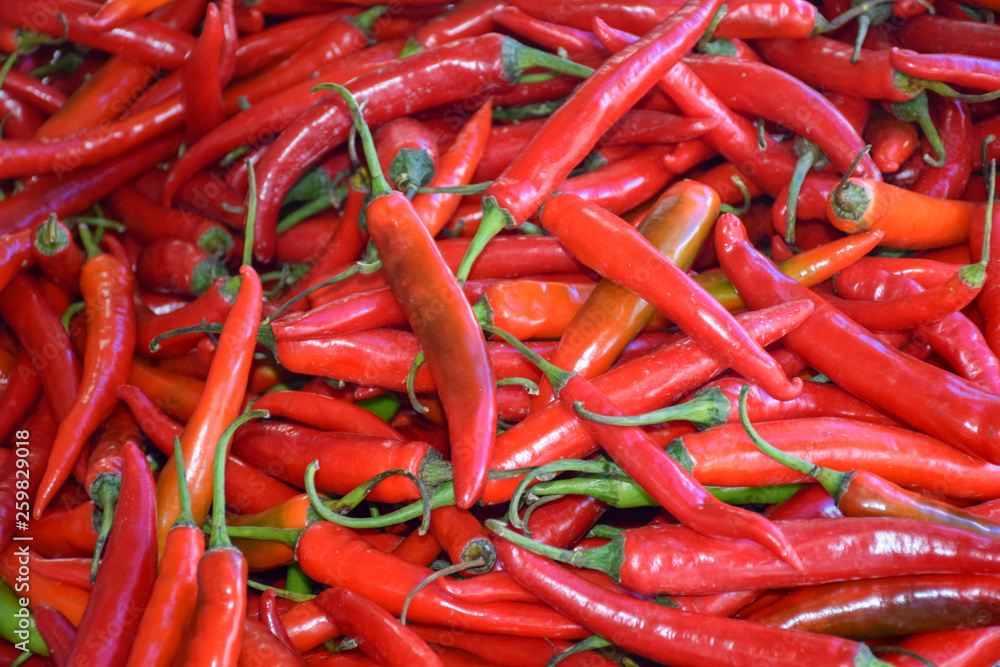 Chili from Thailand is one of the top 10 spicy peppers in the world.