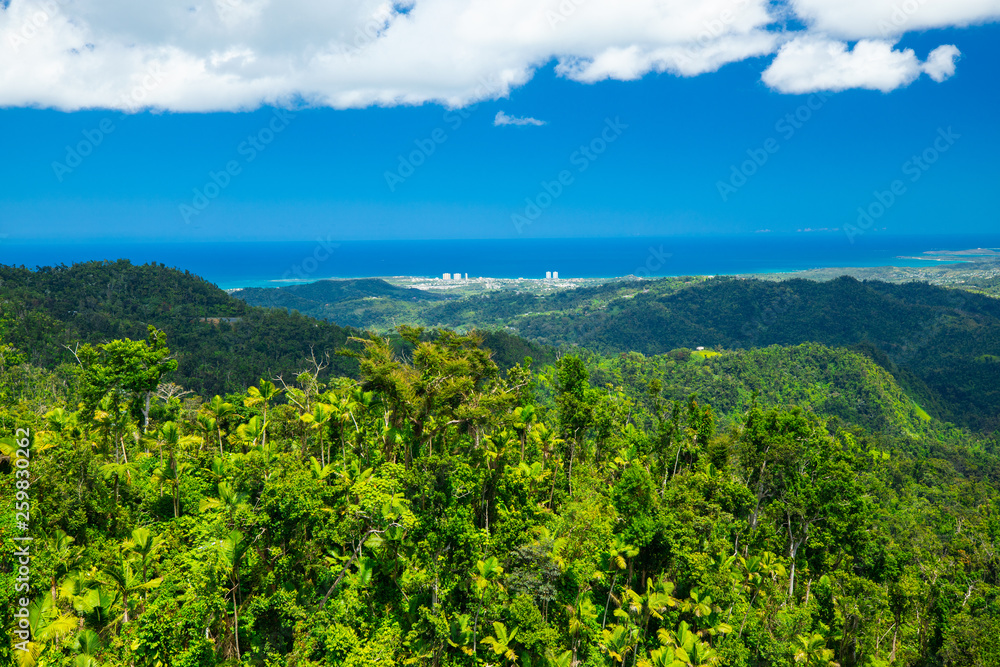 Nature background, Wild forest and rock, blue sky. Landscape wallpaper. Puerto Rico. 