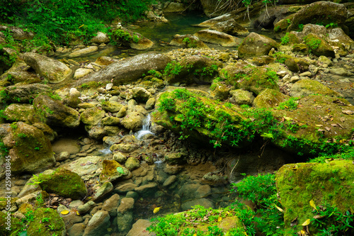 Wild Rainforest in Puerto Rico. Waterfall and river. 