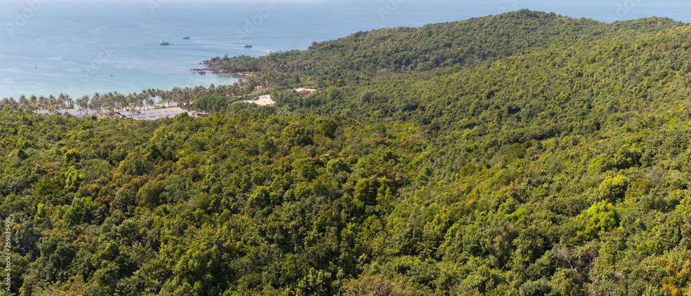 Rainforest on Hon Thom Island