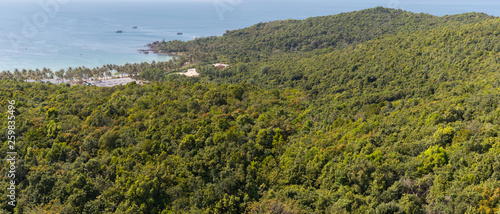 Rainforest on Hon Thom Island