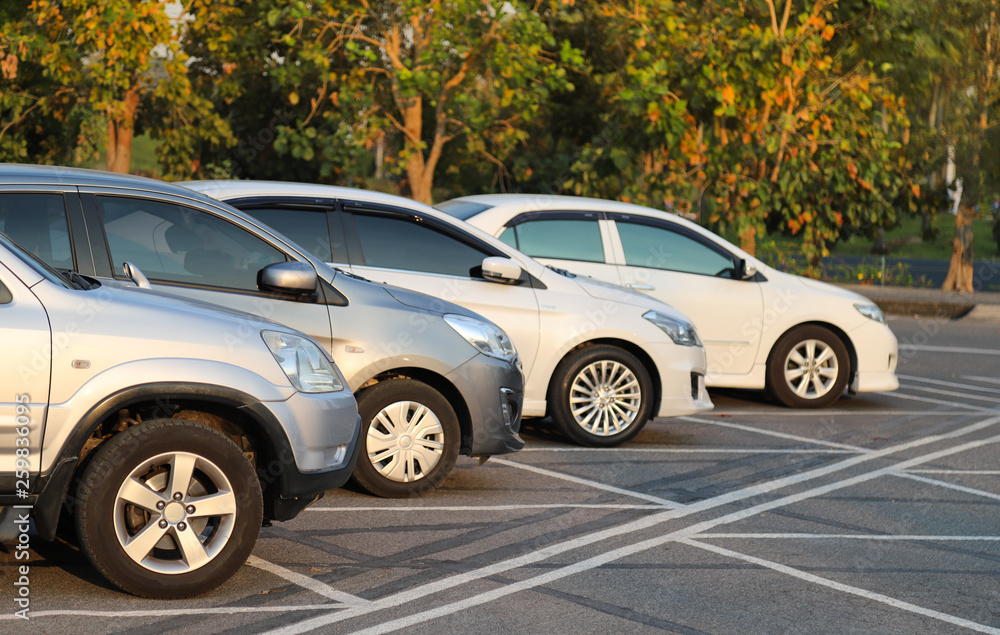 Four cars parking in outdoor parking lot with natural background in twilight evening. 