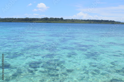 BOCAS