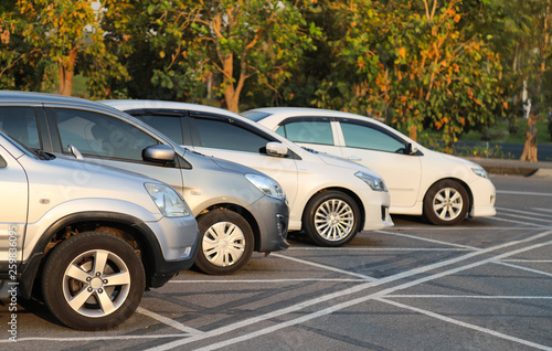 Four cars parking in outdoor parking lot with natural background in twilight evening. 