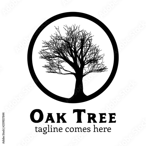 Oak tree logo inspiration black white vector branding element