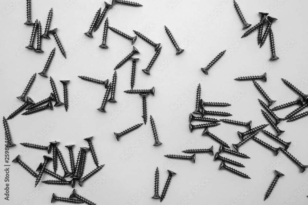 screws on white background screws on white background