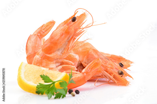 Shrimp on white background