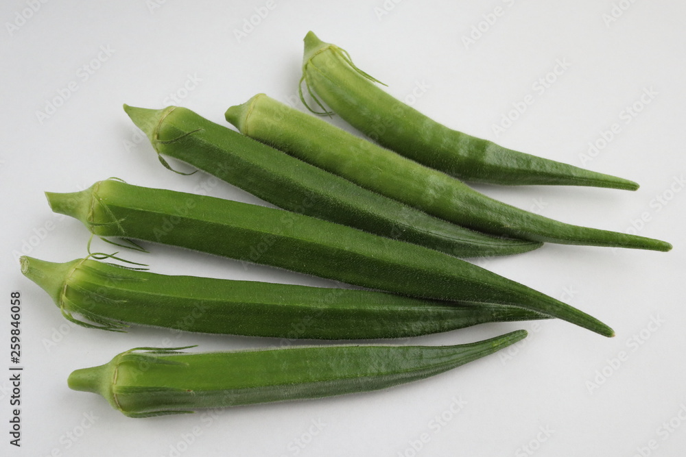 ジャンボオクラとマルサヤオクラ