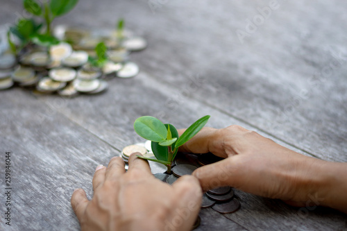 Fototapeta Naklejka Na Ścianę i Meble -  Young plants growing on pile of coins with piggy bank isolated on wooden floor with green blurred background. Business financial, savings money concept.	