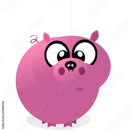 Schwein und Spinne