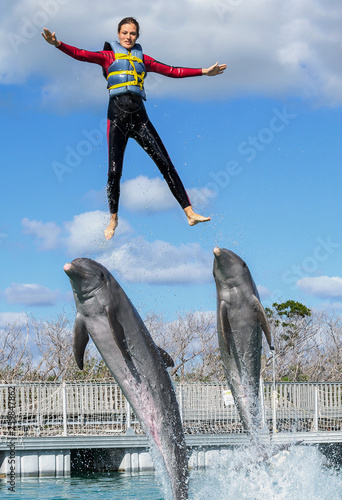 Woman pushed out of the water by dolphins, swimming with dolphins.