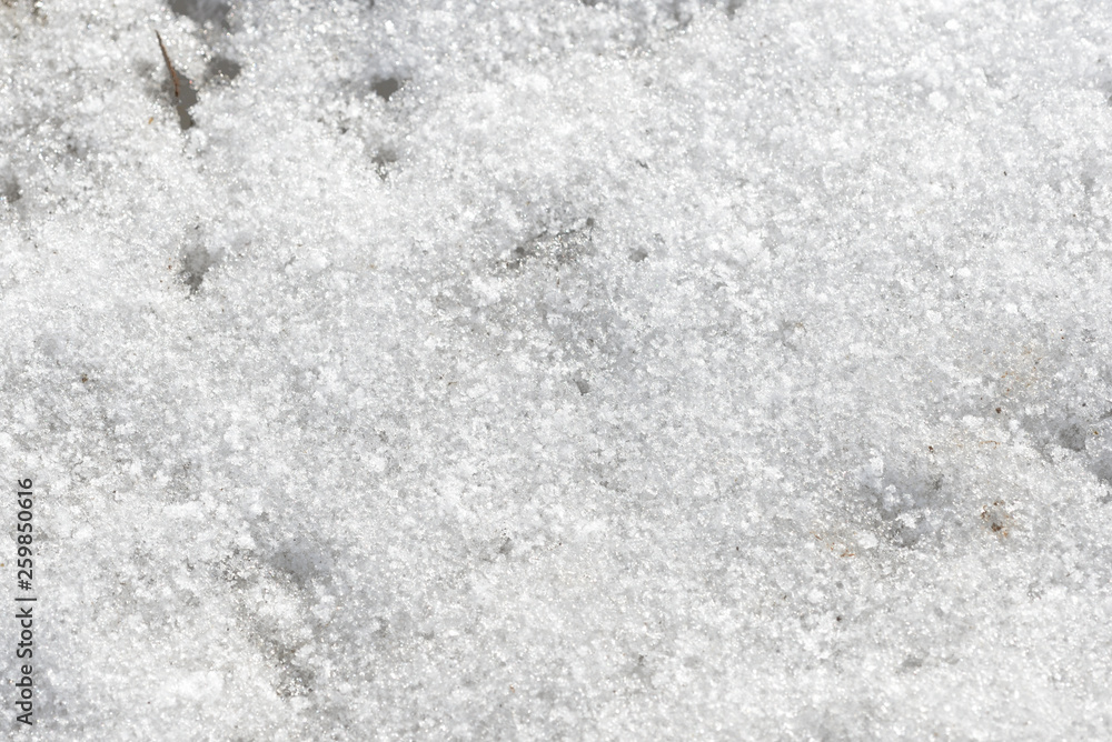 Fototapeta premium Wet early spring snow background and texture close up