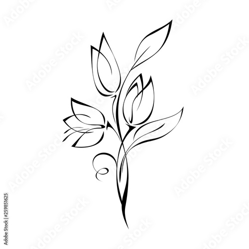 stylized twig with three flower buds and leaves in black lines on white background