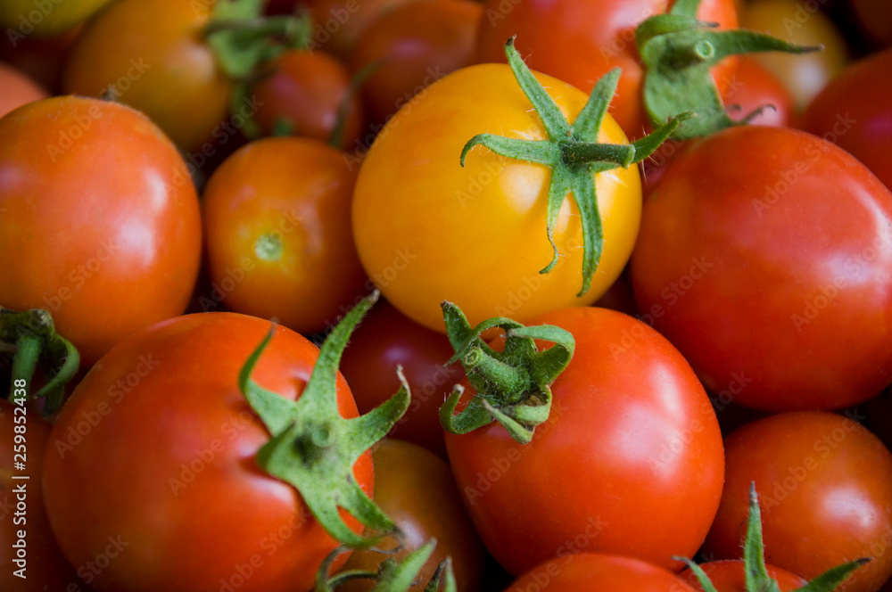 Many ripe red and yellow tomatoes on the wood table. Vegetables. Background Many ripe red and yellow tomatoes on the wood table. Vegetables. Background