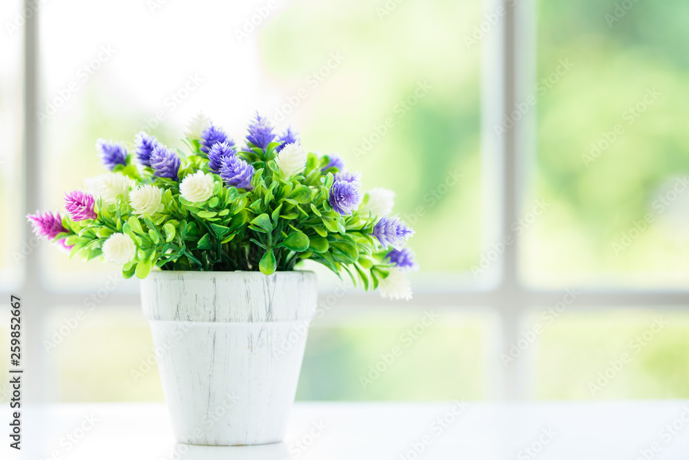 The flowers with window background in the morning. The flowers with window background in the morning.