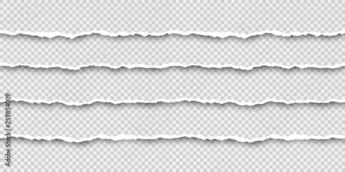 Set of tear seamless paper stripes. Paper texture with damaged edge. Vector illustration isolated on transparent background