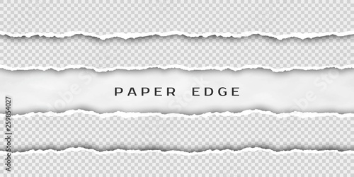 Paper tear border. Set of torn horizontal seamless paper stripes. Paper texture with damaged edge isolated on transparent background. Vector illustration