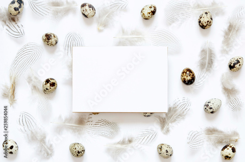 Blank greeting card. Easter composition with easter eggs and feathers on white background. Image