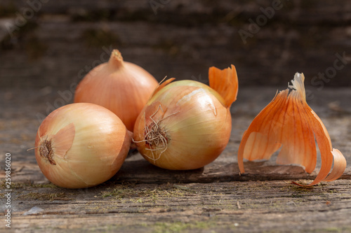 Three white onions on a on the old mossy board. close up