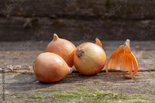 Three white onions on a on the old mossy board. close up